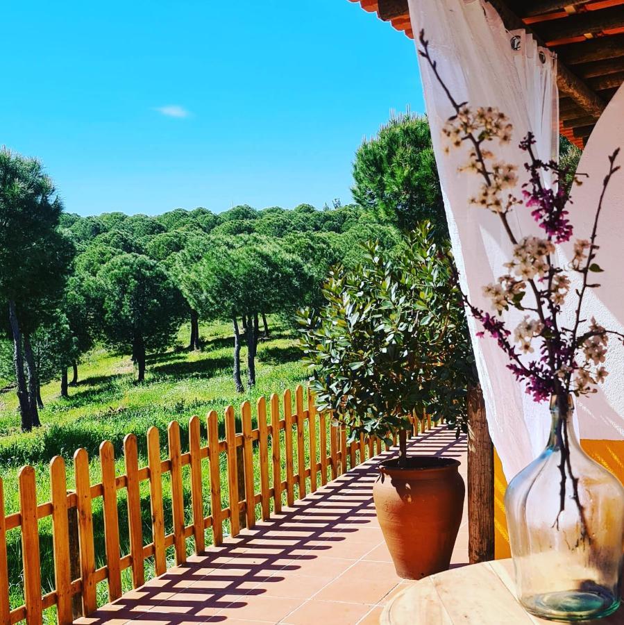 Herdade Do Rio Torto Portel Exterior photo